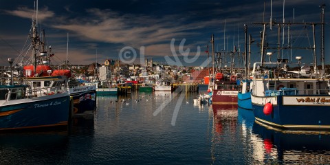 St. John's harbour